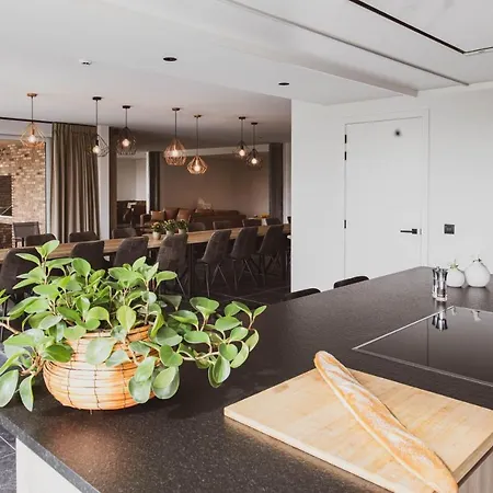 De Balloo, Met Sauna En Jacuzzi Vakantiehuis