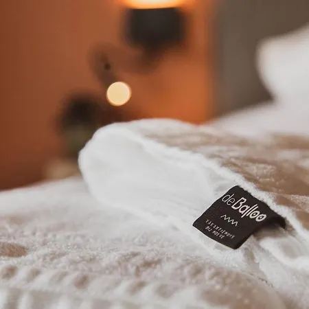 De Balloo, Met Sauna En Jacuzzi