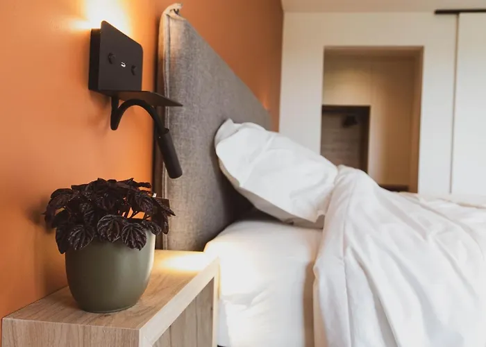 Hébergement de vacances De Balloo, Met Sauna En Jacuzzi *